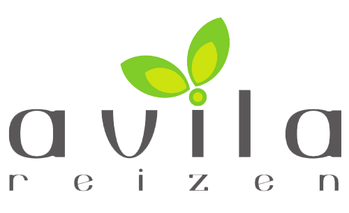 Avila_reizen_logo kopie (1)