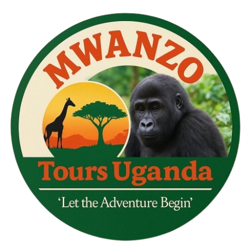 mwanzo_tours_logo_from_uploaded_page-0001-removebg-preview