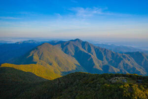 The Blue Mountains in eastern Jamaica - Copyright Jamaica Tourist Board