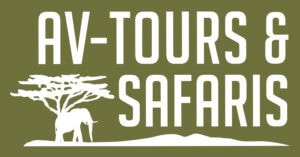 logo_AV Tours Green (1)