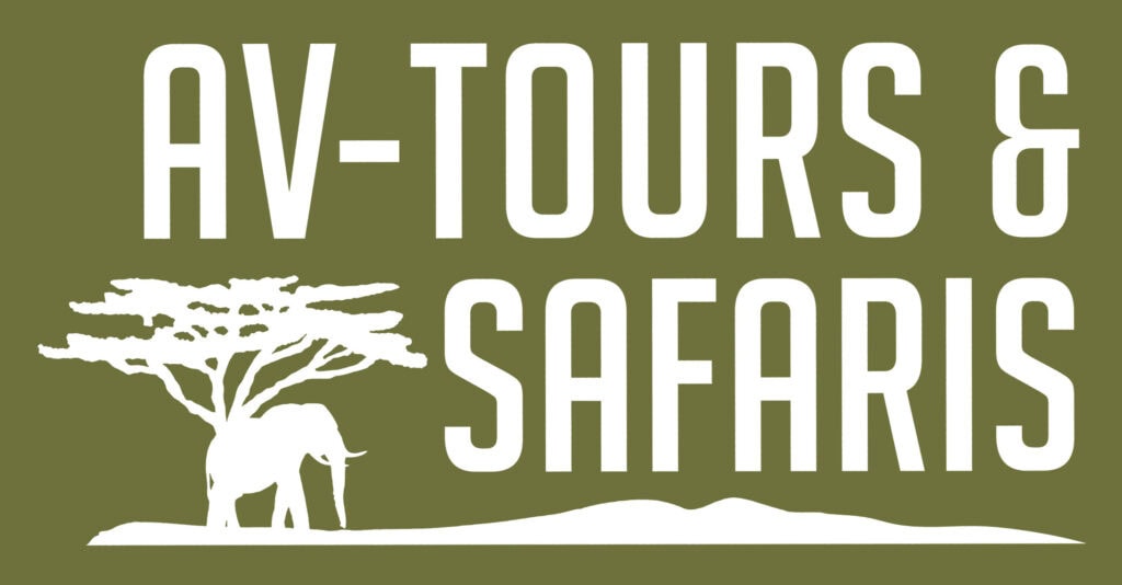 logo_AV Tours Green
